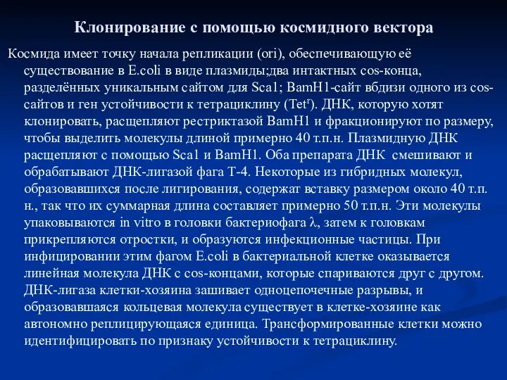 Клонирование с помощью космидного вектора Космида имеет точку начала репликации (ori),