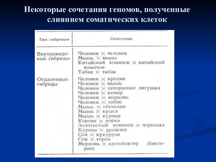 Некоторые сочетания геномов, полученные слиянием соматических клеток