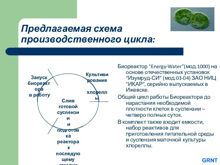 Предлагаемая схема производственного цикла: Биореактор "Energy-Water”(мод.1000) на основе отечественных установок “Изумруд-СИ”