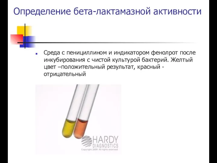 Определение бета-лактамазной активности Среда с пенициллином и индикатором фенолрот после инкубирования