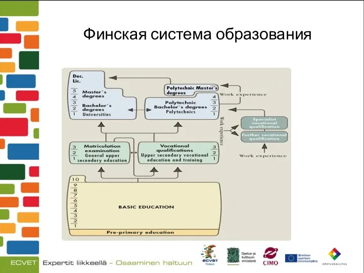 Финская система образования