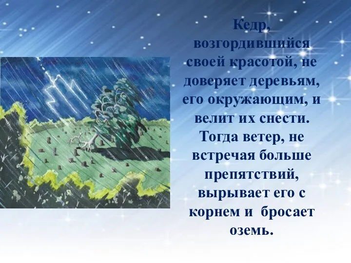 Кедр, возгордившийся своей красотой, не доверяет деревьям, его окружающим, и велит