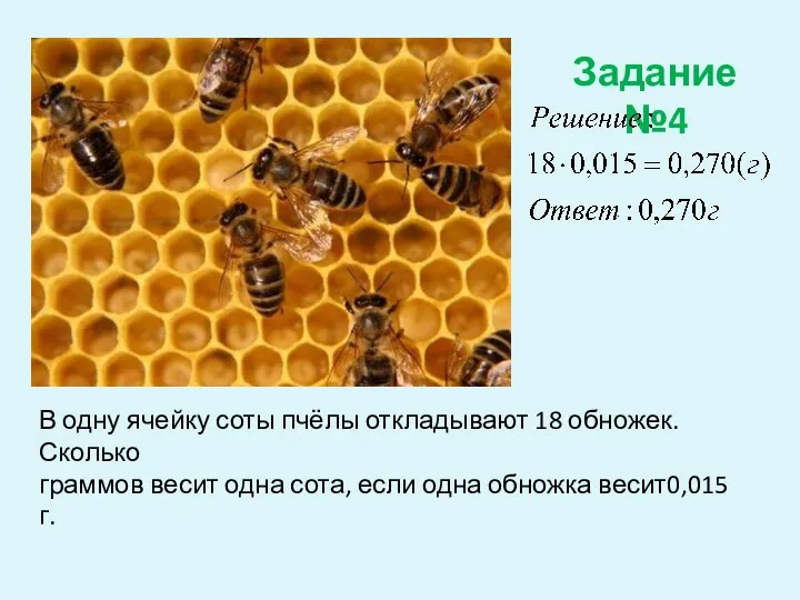 Задание №4 В одну ячейку соты пчёлы откладывают 18 обножек. Сколько