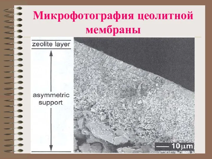 Микрофотография цеолитной мембраны