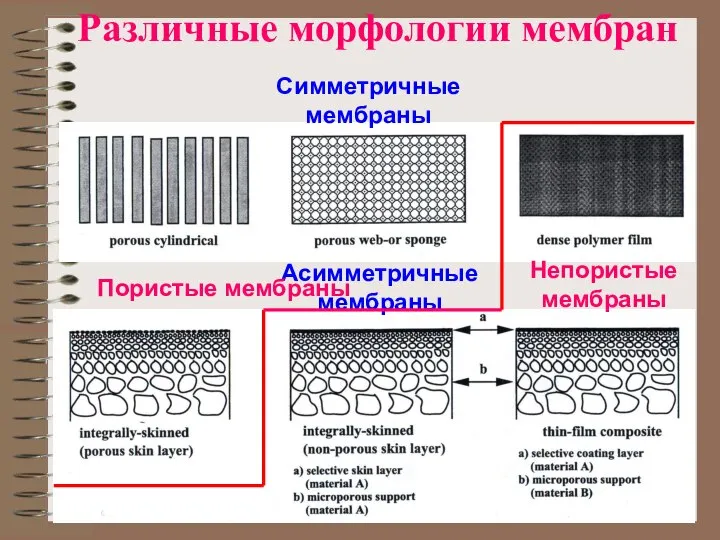 Различные морфологии мембран Асимметричные мембраны Симметричные мембраны Пористые мембраны Непористые мембраны