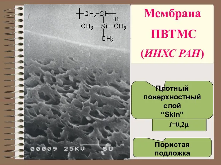 l=0,2μ Плотный поверхностный слой “Skin” Пористая подложка Мембрана ПВТМС (ИНХС РАН)