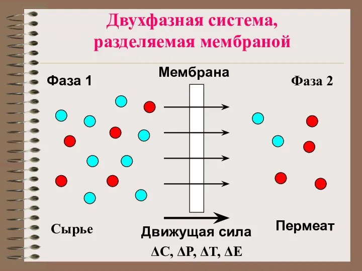 Двухфазная система, разделяемая мембраной Сырье Мембрана Пермеат Фаза 1 Фаза 2