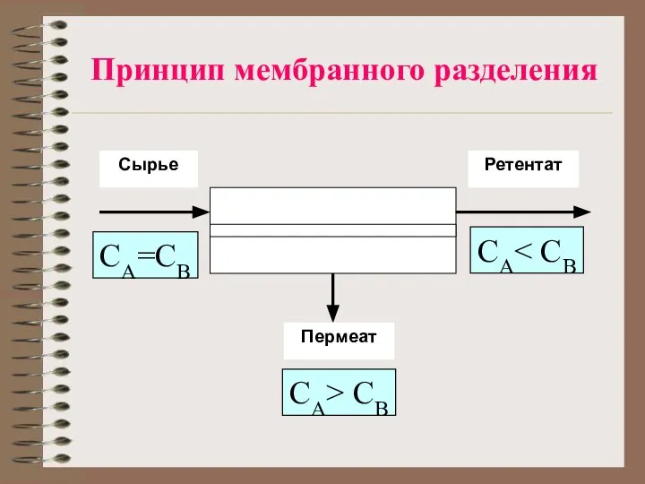 Принцип мембранного разделения CA=CB CA> CB CA