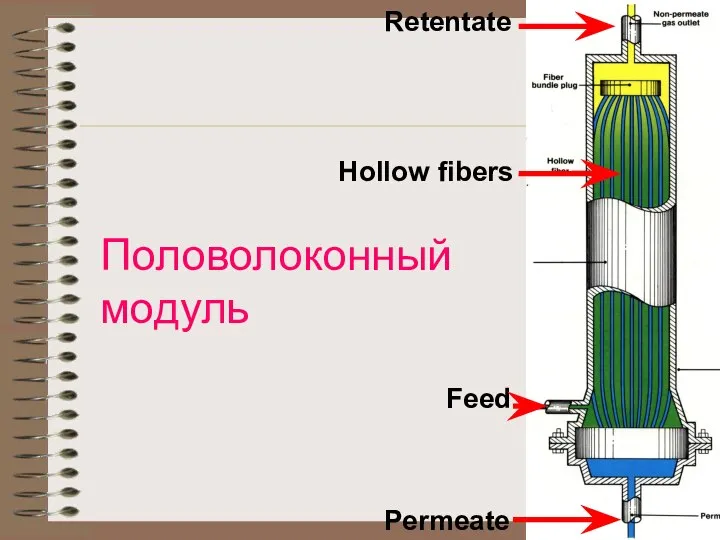 Половолоконный модуль Retentate Permeate Feed Hollow fibers