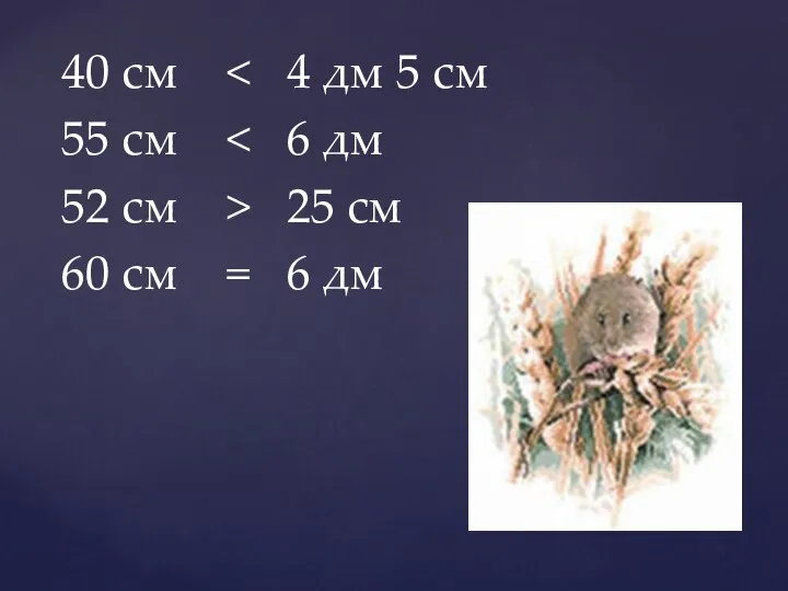 40 см 55 см 52 см > 25 см 60 см = 6 дм