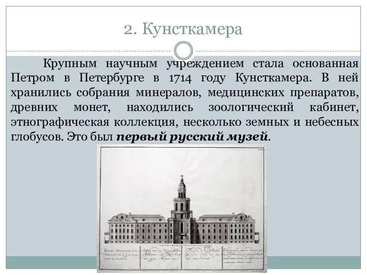 2. Кунсткамера Крупным научным учреждением стала основанная Петром в Петербурге в