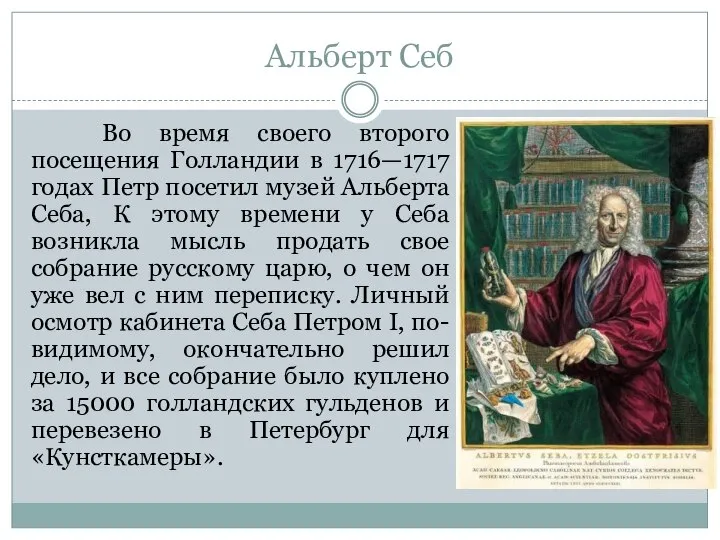 Альберт Себ Во время своего второго посещения Голландии в 1716—1717 годах