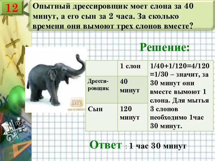 Опытный дрессировщик моет слона за 40 минут, а его сын за