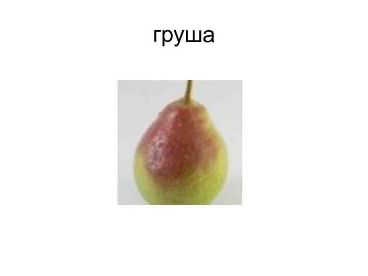 груша