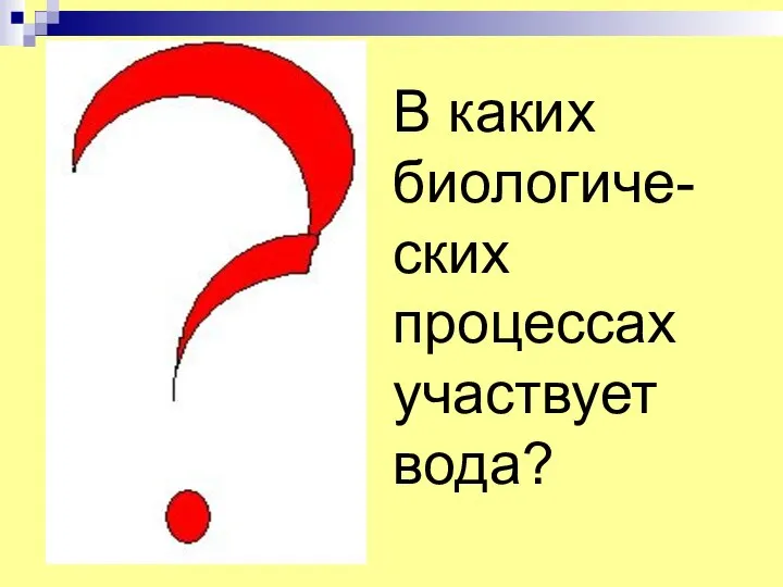 В каких биологиче-ских процессах участвует вода?