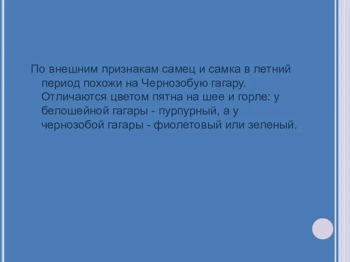 По внешним признакам самец и самка в летний период похожи на