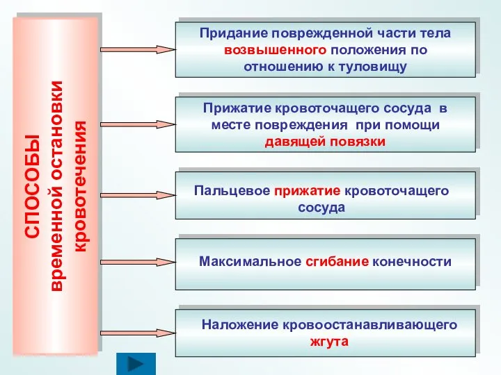 СПОСОБЫ временной остановки кровотечения