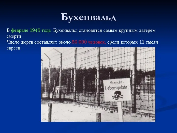 Бухенвальд В феврале 1945 года Бухенвальд становится самым крупным лагерем смерти