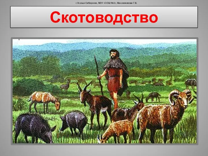 Скотоводство г.Усолье-Сибирское, МОУ «СОШ №2», Масленникова Г.В.