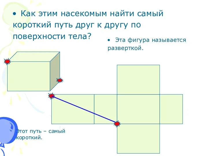 Как этим насекомым найти самый короткий путь друг к другу по