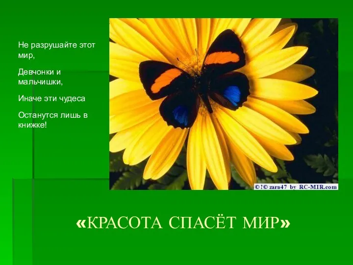 «КРАСОТА СПАСЁТ МИР» Не разрушайте этот мир, Девчонки и мальчишки, Иначе