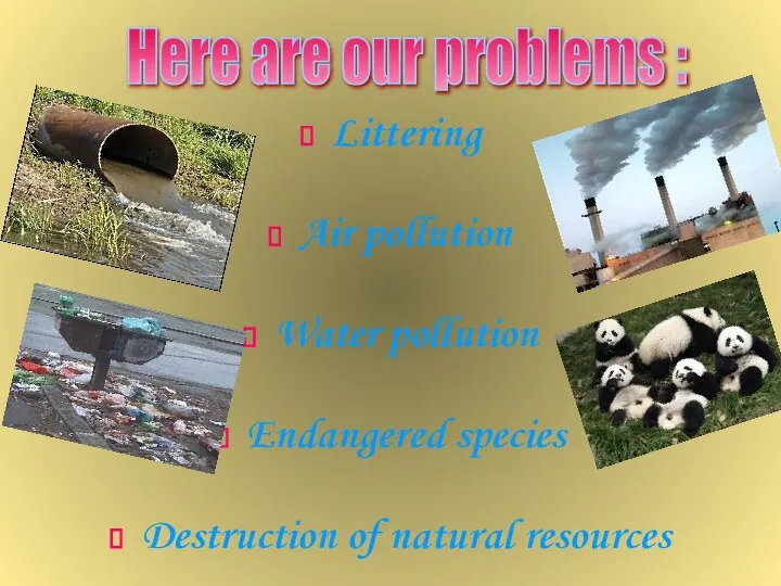 Littering Air pollution Water pollution Endangered species Destruction of natural resources Here are our problems :