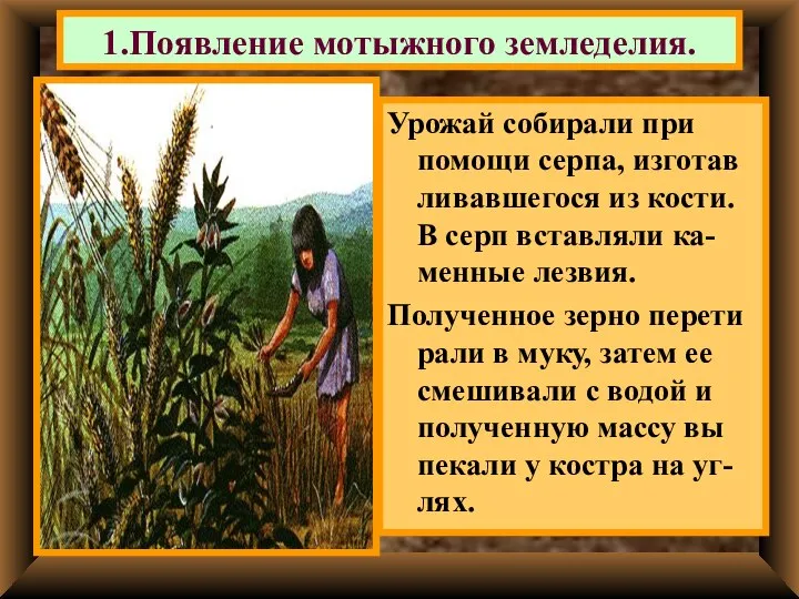 1.Появление мотыжного земледелия. Урожай собирали при помощи серпа, изготав ливавшегося из