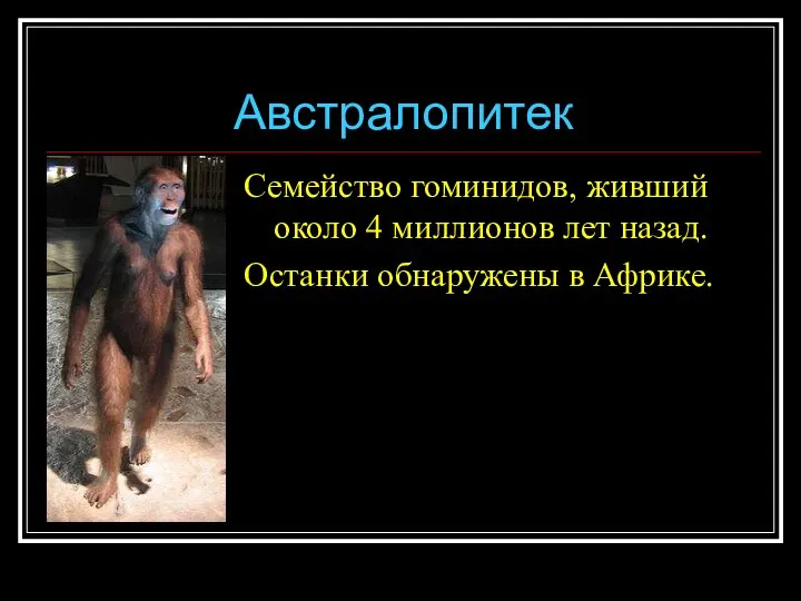 Австралопитек Семейство гоминидов, живший около 4 миллионов лет назад. Останки обнаружены в Африке.