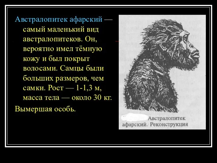 Австралопитек афарский — самый маленький вид австралопитеков. Он, вероятно имел тёмную