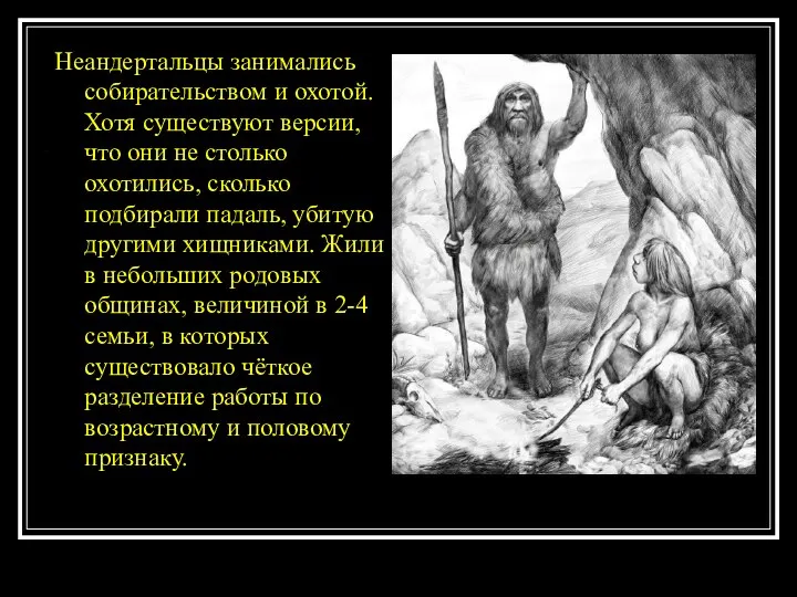 Неандертальцы занимались собирательством и охотой. Хотя существуют версии, что они не