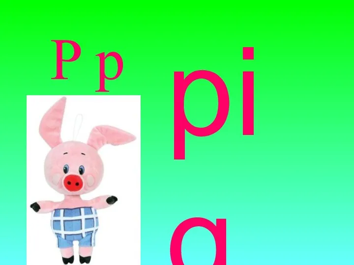 P p pig