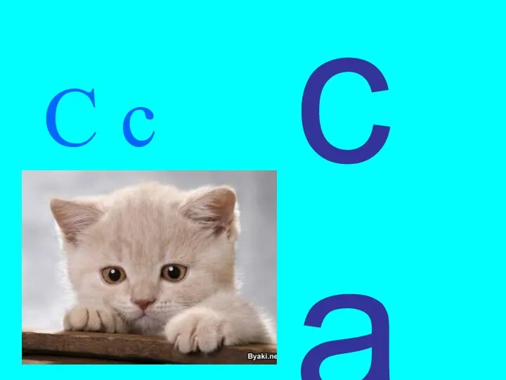 C c cat