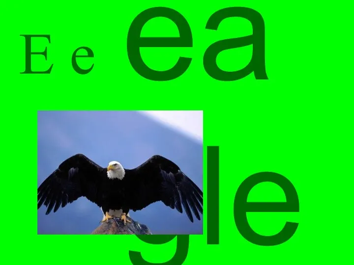 E e eagle