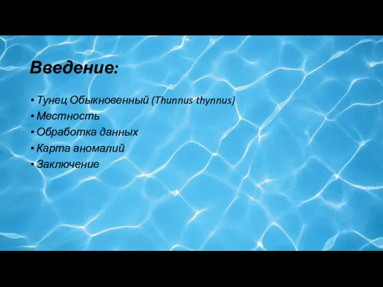 Введение: Тунец Обыкновенный (Thunnus thynnus) Местность Обработка данных Карта аномалий Заключение