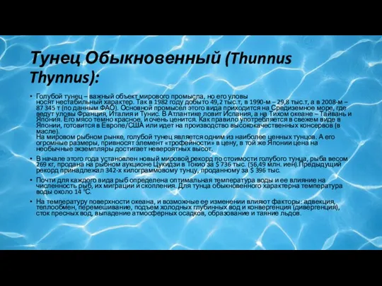 Тунец Обыкновенный (Thunnus Thynnus): Голубой тунец – важный объект мирового промысла,