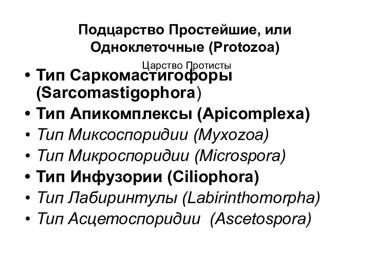 Подцарство Простейшие, или Одноклеточные (Protozoa) Царство Протисты Тип Саркомастигофоры (Sarcomastigophora) Тип