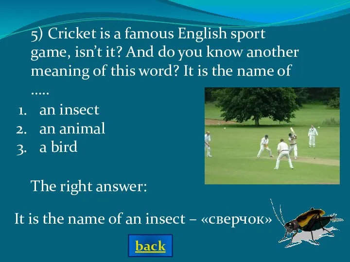 The right answer: an insect an animal a bird It is