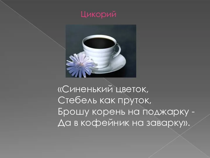 «Синенький цветок, Стебель как пруток, Брошу корень на поджарку - Да в кофейник на заварку». Цикорий