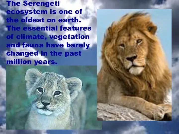 The Serengeti ecosystem is one of the oldest on earth. The