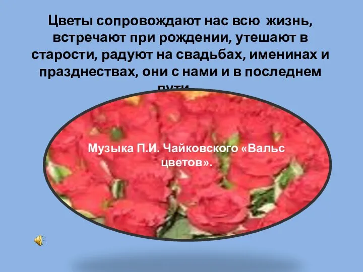 Цветы сопровождают нас всю жизнь, встречают при рождении, утешают в старости,