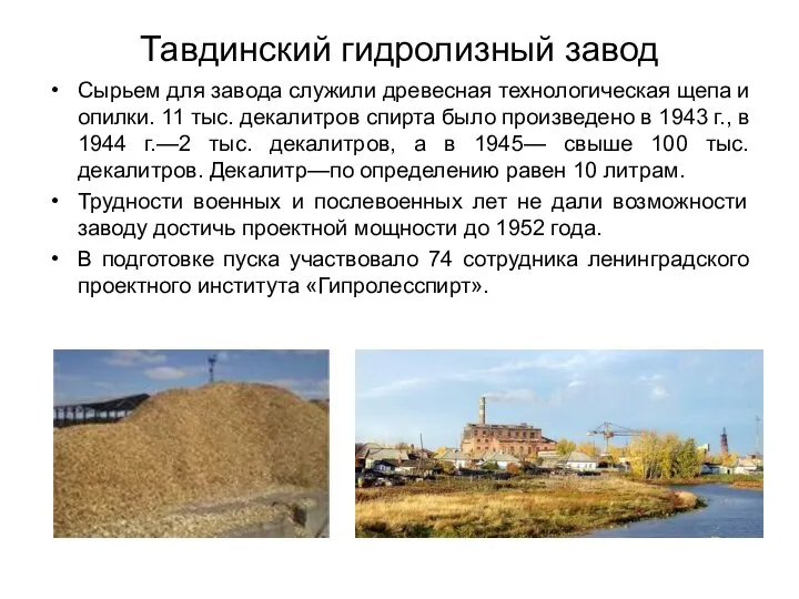 Тавдинский гидролизный завод Сырьем для завода служили древесная технологическая щепа и
