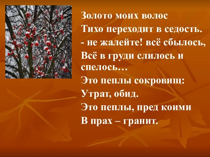 Золото моих волос Тихо переходит в седость. - не жалейте! всё