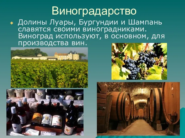 Виноградарство Долины Луары, Бургундии и Шампань славятся своими виноградниками. Виноград используют, в основном, для производства вин.