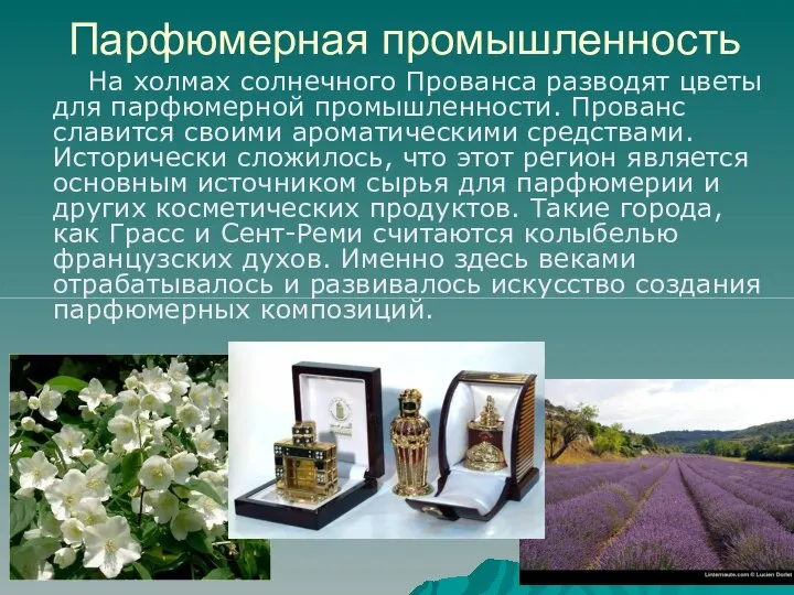 Парфюмерная промышленность На холмах солнечного Прованса разводят цветы для парфюмерной промышленности.