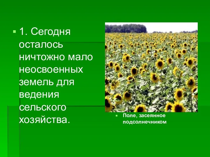 1. Сегодня осталось ничтожно мало неосвоенных земель для ведения сельского хозяйства. Поле, засеянное подсолнечником