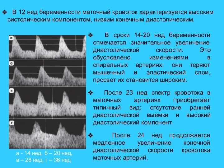 В сроки 14-20 нед беременности отмечается значительное увеличение диастолической скорости. Это