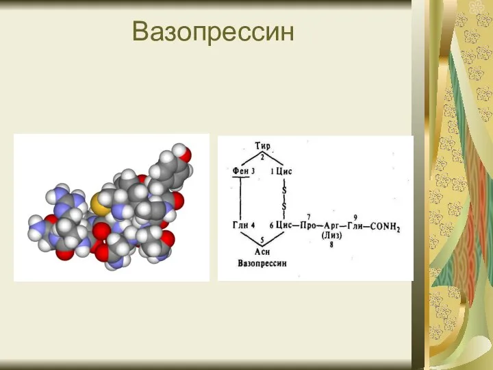 Вазопрессин