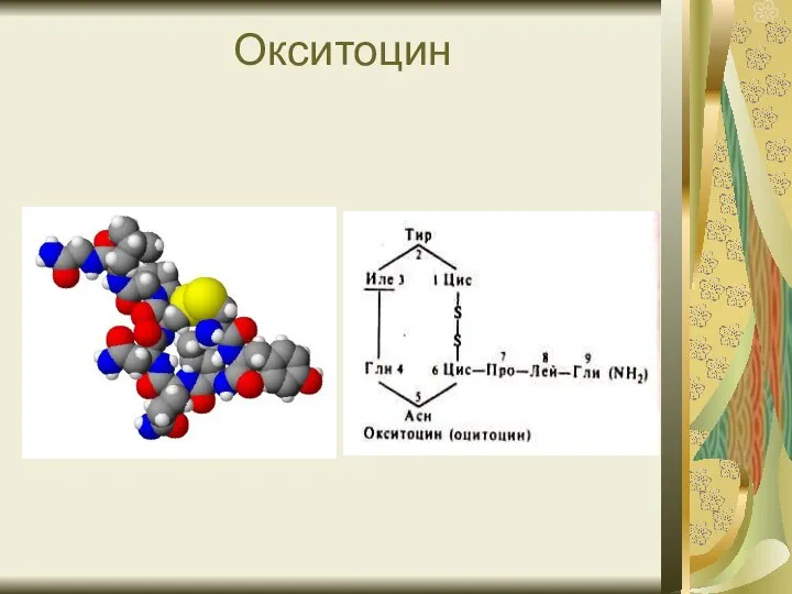 Окситоцин