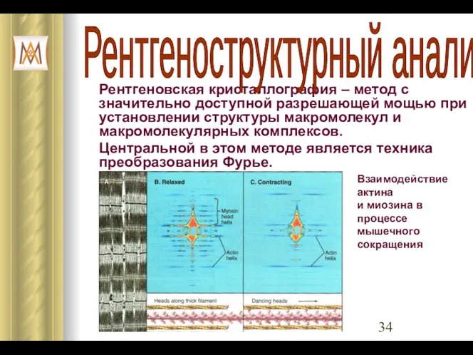 Рентгеновская кристаллография – метод с значительно доступной разрешающей мощью при установлении