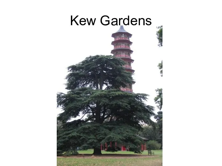 Kew Gardens